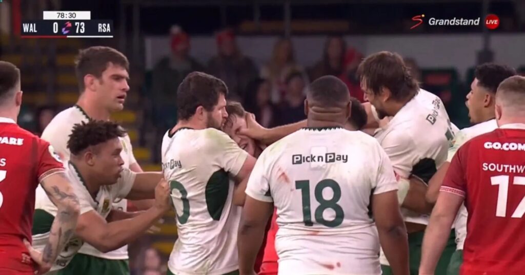 Record 73-Point Victory Overshadowed as Etzebeth Faces Months on Sidelines for Eye Contact on Welsh Flanker