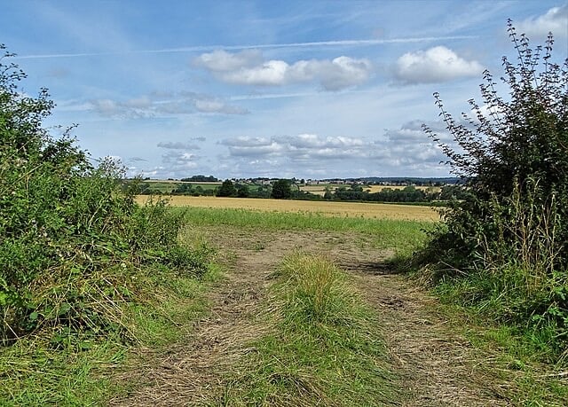 Government Launches Nationwide Scheme to Make English Countryside Less White Through Diversity Targets